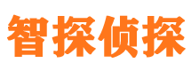 横山市场调查